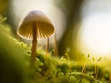 February Masterclasses Day 1: Relax & Expand Consciousness