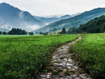 Fed Up With Desiring The Destination