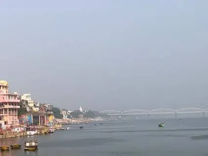 Feeding Upon The Light Of Stars