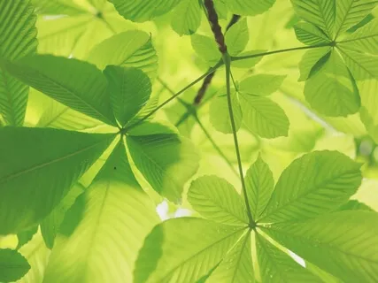 Feel Alive Here And Now