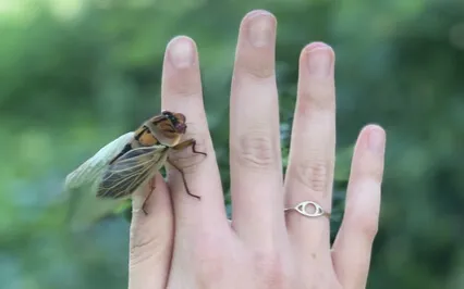 Feel And Spread True Love With This Meditation