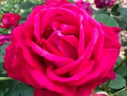 Feel Angry Or Anxious? This Meditation's For You