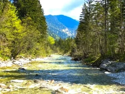 Feel At One With What Is