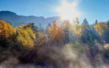 Feel Better - Sleep Meditation