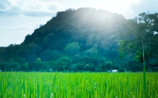 Feel Blissful Daily With 432Hz