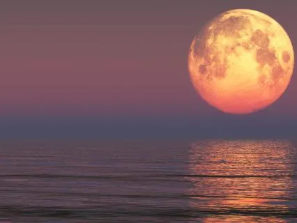 Feel Deeply Loved | Sleep Meditation