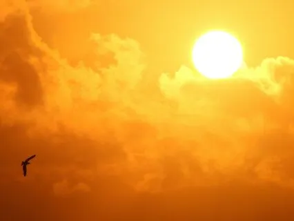 Feel & Embody Your Desires - Music Meditation