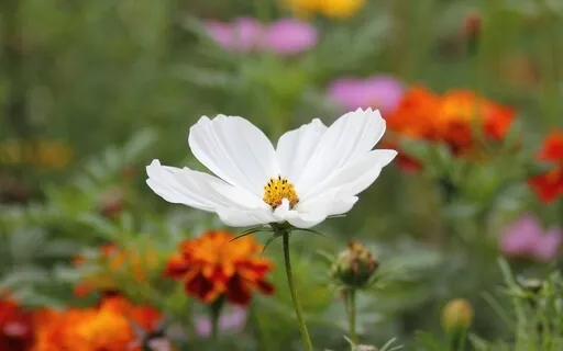 Feel Good Affirmations