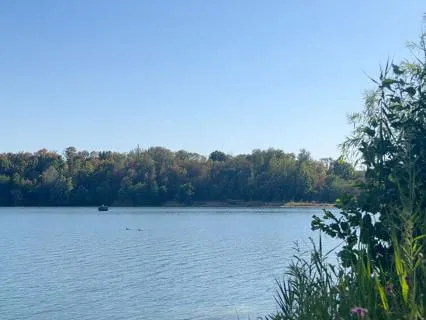 Feel Good All Day | An Empowering Morning Meditation