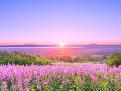 Feel Good Binaural Beats To Boost Energy, Focus, Positivity