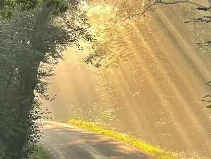 Feel Good Meditation