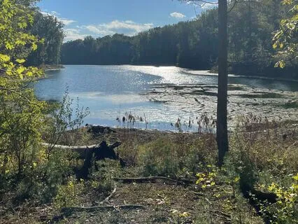 Feel Grounded In Body, Mind And Spirit