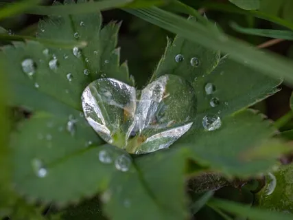 Feel In To The Moment