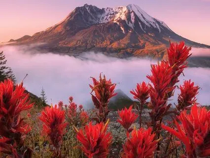 Feel Instantly Calm: Relax Your Body And Mind | 5 Hz