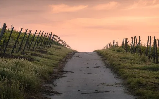 Feel It, Sustain It, And You Will See It