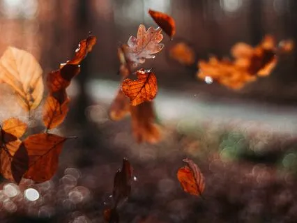 Feel It To Believe It