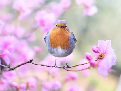 Feel Love In Everything, Relaxing Theta Feel Good Meditation