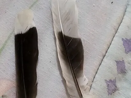 Feel Love In The Now