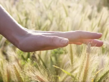 Feel More Awake And Alive  - 11-Minute Daily Insight