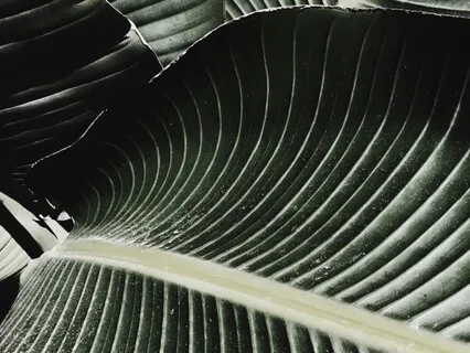 Feel More Love Guided Relaxation 