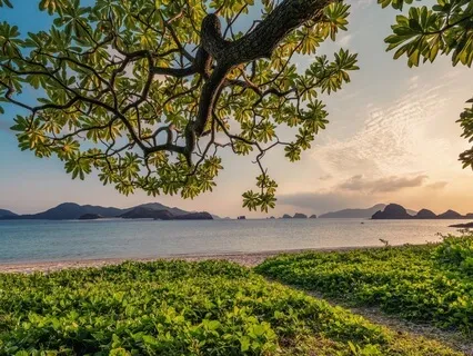 Feel Peace Today - Affirmations To Bring Peace And Calm