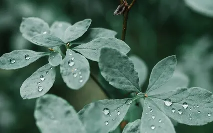 Feel Safe And Let Go Of Fear