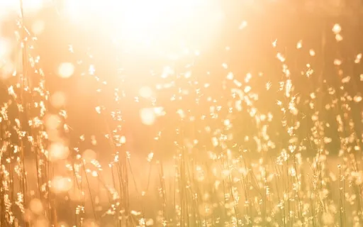 Feel Safe & Protected | Shield Of Light Meditation