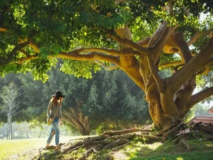 Feel Safe In The Now To Attract More Abundance