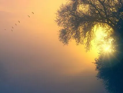 Feel Safe, Sleep Deeply| Nightly Energy Healing