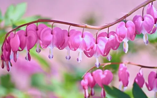 Feel Self Love Guided Meditation