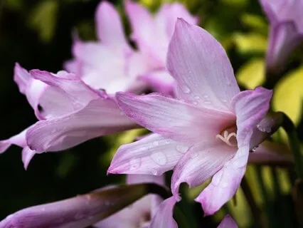 Feel Soothed On Your Grief Journey