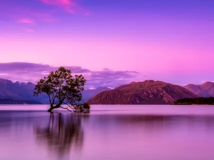 Feel Supported In The Present Moment