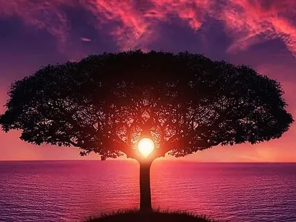 Feel The Connection: You Are Part Of Something Bigger!