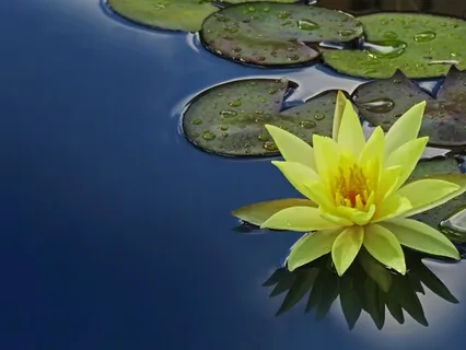 Feel The Power Of Gratitude