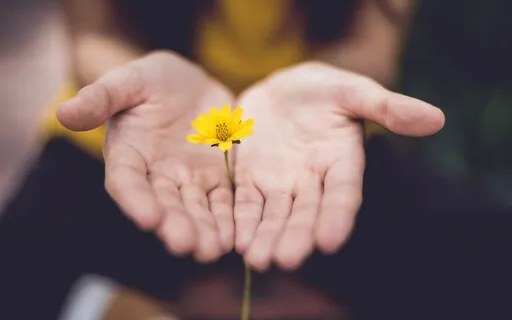 Feel The Power Of Your Gratitude