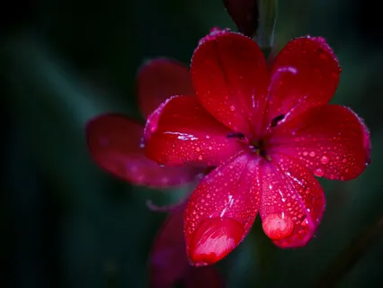 Feel Welcome Guided Meditation