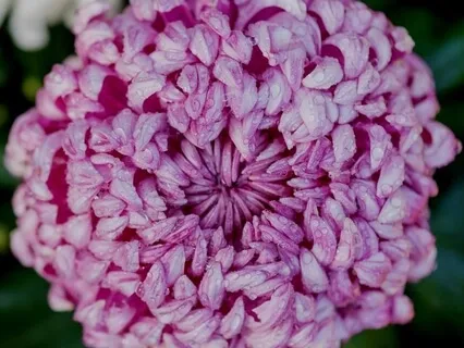 Feel Whole - Morning Mindfulness