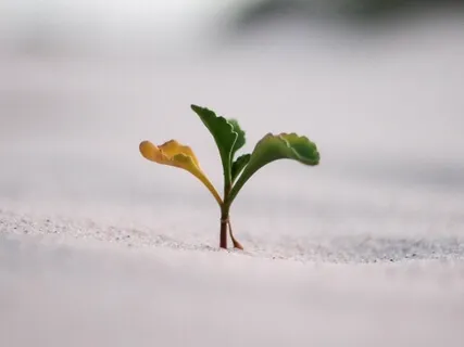 Feel Your Spirit Grow