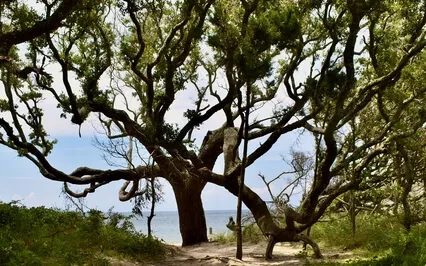 Feeling: A Somatic Exercise