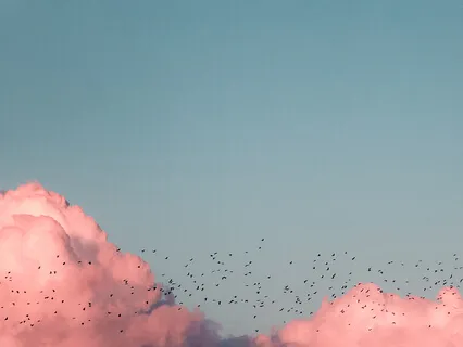 Feeling Alive In Your Body & Connected To All Life