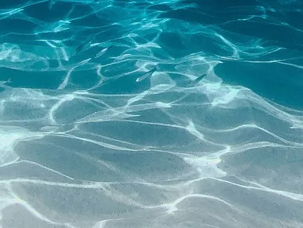 Feeling At One With The Flow Of The Ocean