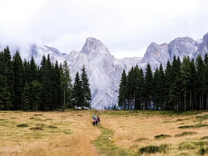 Feeling Breath & Mind In The Body