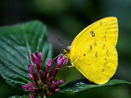 Feeling Connected During Isolation Meditation