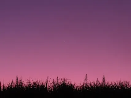 Feeling Energy (Beginner) Getting Started