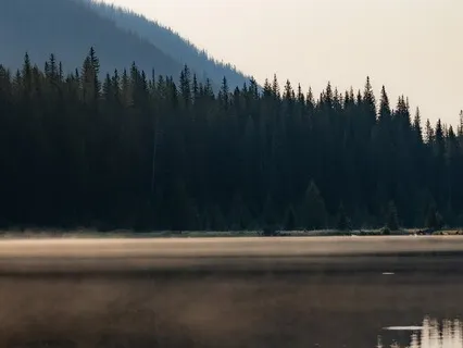 Feeling Everything At The Root