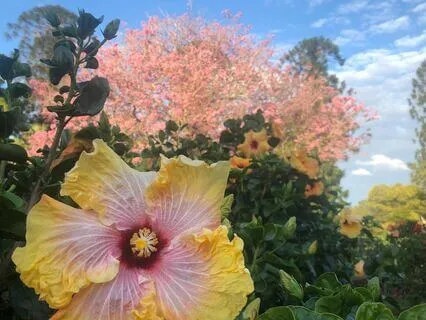 Feeling Good About Ourselves