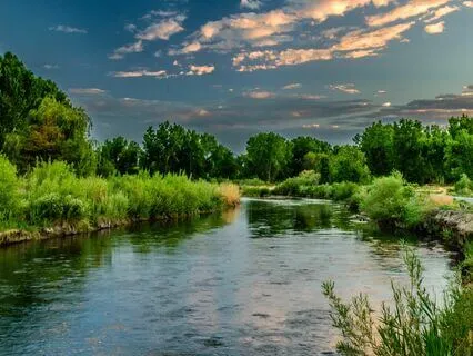 Feeling Grounded And Peaceful In Nature