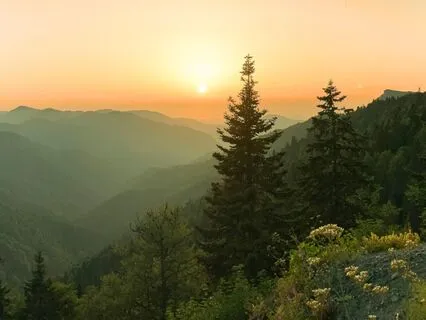 Feeling Grounded During Stress And Fear