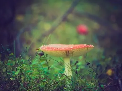 Feeling Grounded For Stress & Anxiety