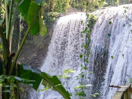Feeling Grounded In Nature